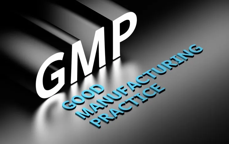gmp-DariaRen gmp-DariaRen
